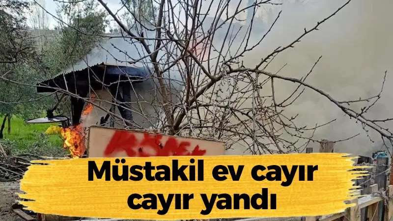 Kocaeli haber – Müstakil ev cayır cayır yandı