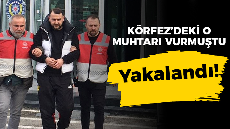 Körfez Yeni Yalı Mahallesi