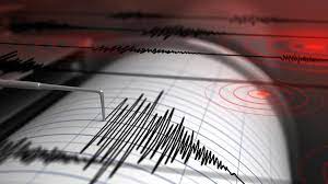 Vanuatu'da deprem! - Resim : 1