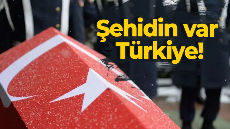 Şehidin var Türkiye!