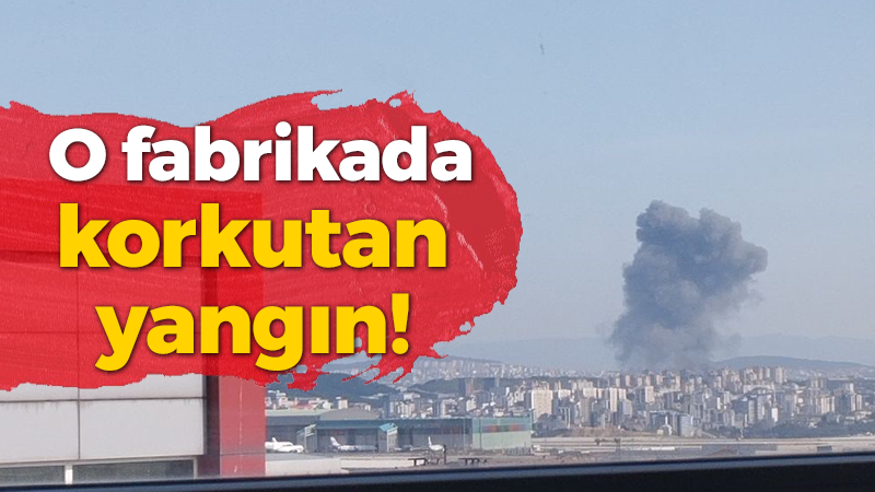 Tuzla’da Kocaeli sınırında bulunan fabrikada korkutan yangın!