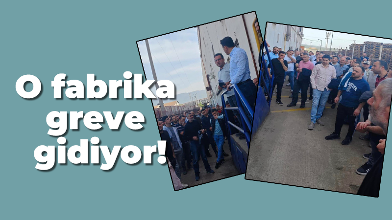 O fabrika greve gidiyor!