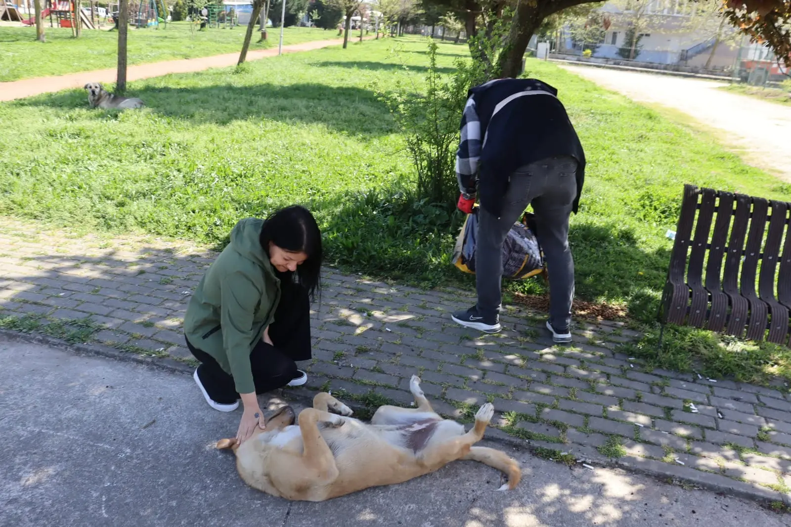 Sokaktaki dostlarımızı unutmadılar - Resim : 2