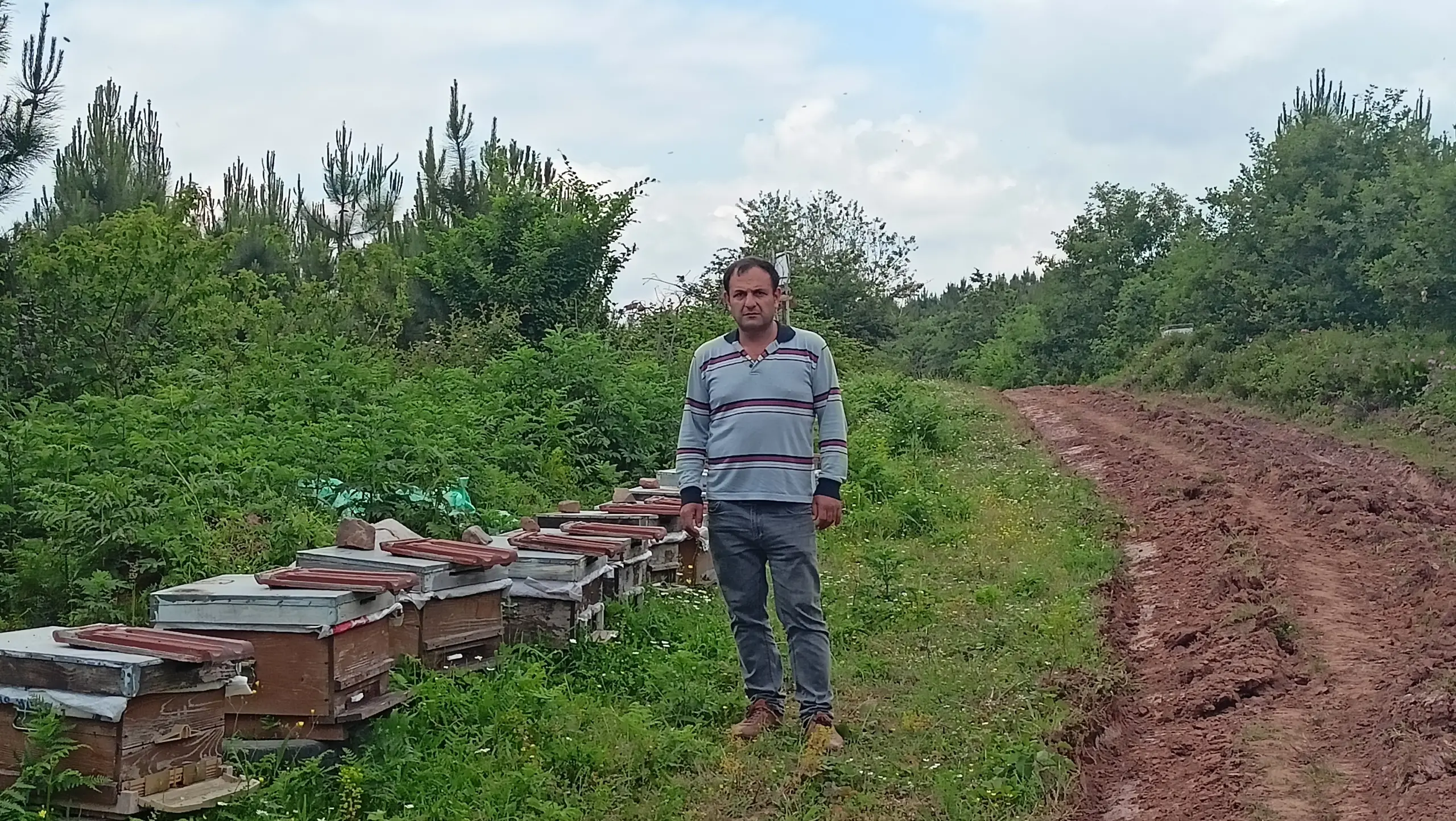 Hobi olarak arıcılık yapıyordu! Yaşananlar sonrası şikayetçi oldu - Resim : 1