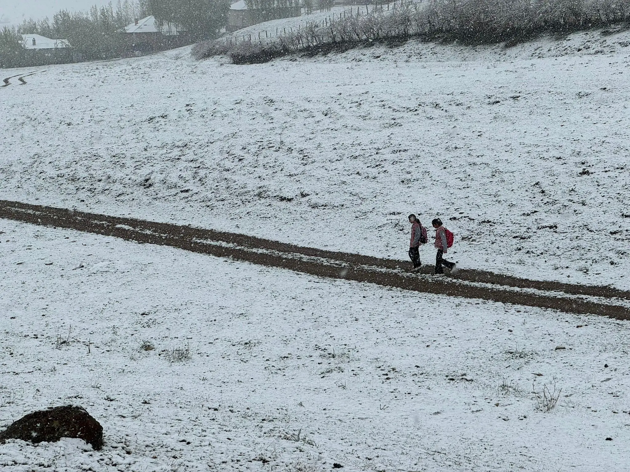 Mayıs'ta kar sürprizi - Resim : 2