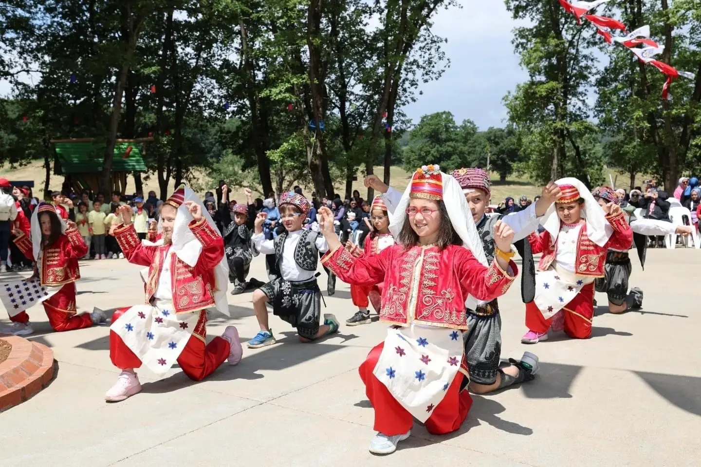 Gebze'de gençlik ve çocuk festivali - Resim : 1