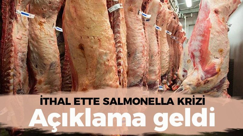 İthal etlerde salmonella çıkmıştı… Et ve Süt Kurumu olayla ilgili açıklama yaptı!