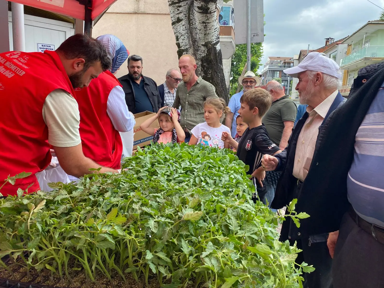 Tarımsal kalkınmaya destek! İzmit Belediyesi 43 bin fide dağıttı - Resim : 3