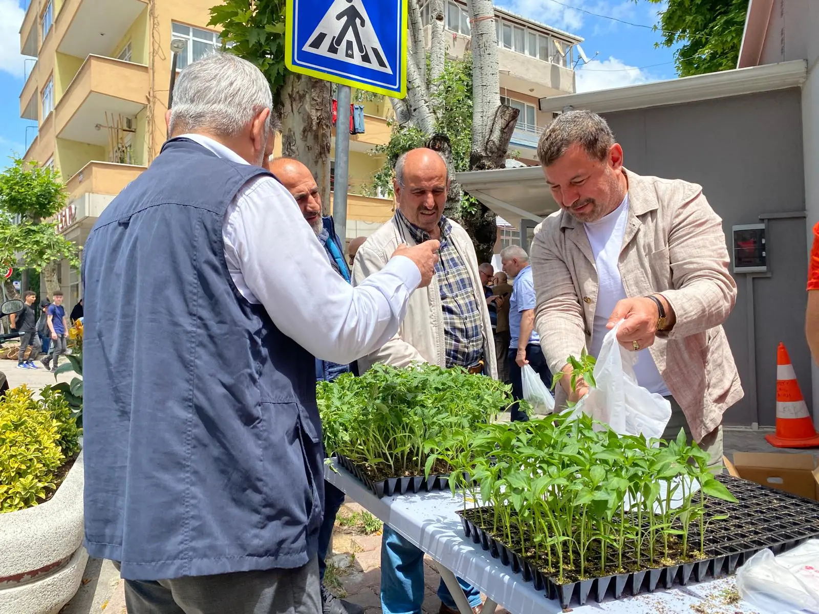 Tarımsal kalkınmaya destek! İzmit Belediyesi 43 bin fide dağıttı - Resim : 4