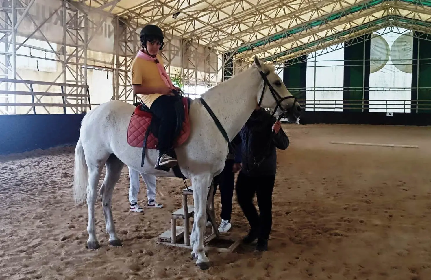 Kartepeli gençler biniciliğe merak sardı - Resim : 12