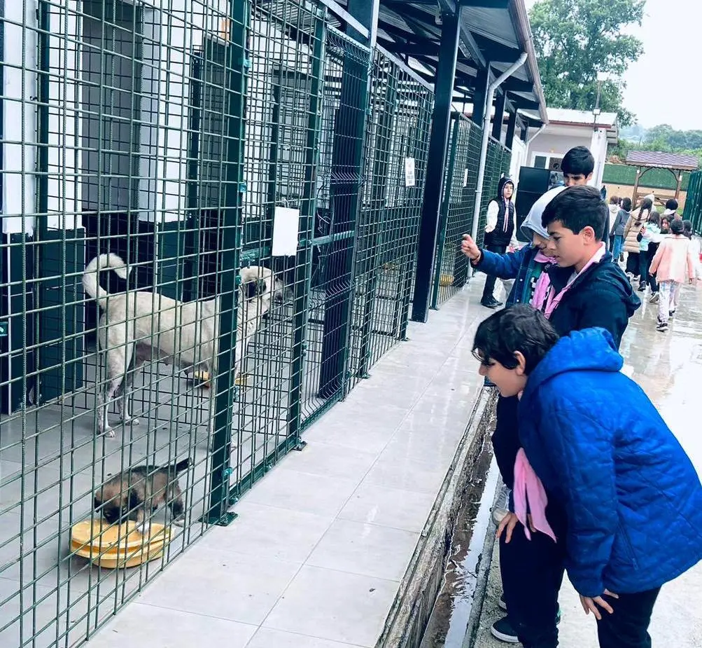 Kartepeli gençler biniciliğe merak sardı - Resim : 4