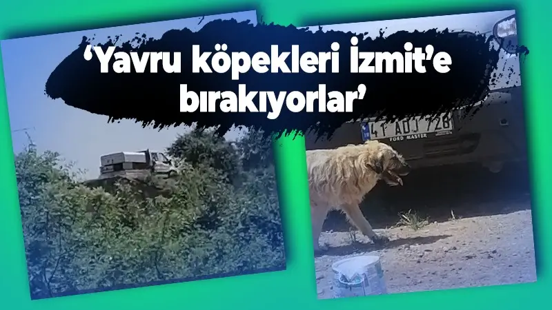 Bayraktar muhtarı Kartepe Belediyesi’ne kızgın! İzmit sınırına köpek bırakılıyor