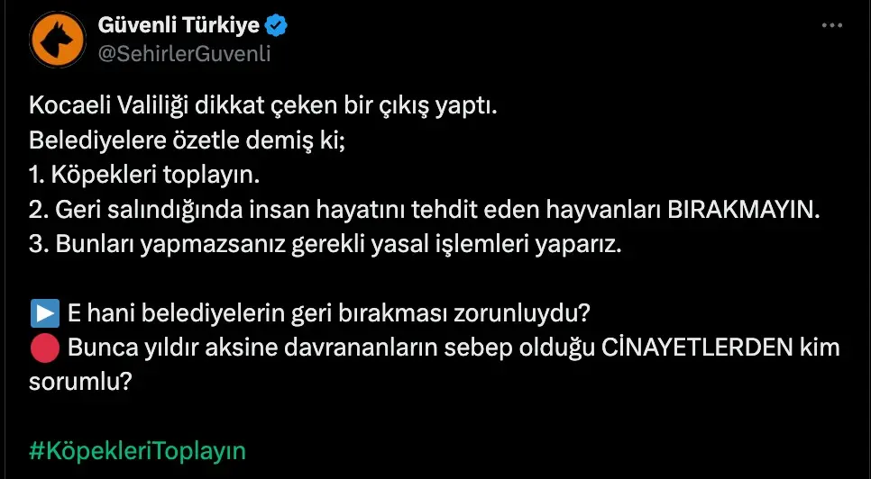 Kocaeli Valisi Seddar Yavuz sosyal medyanın gündeminde: Kocaeli’de köpekler uyutulacak mı? - Resim : 9