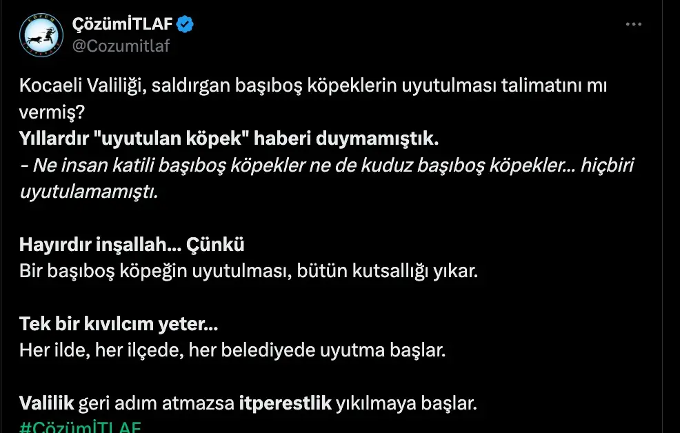 Kocaeli Valisi Seddar Yavuz sosyal medyanın gündeminde: Kocaeli’de köpekler uyutulacak mı? - Resim : 3