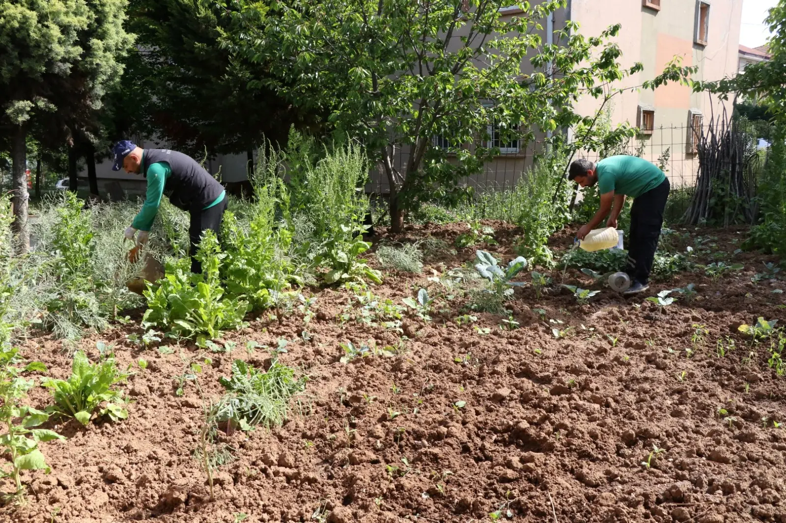 Kocaelililer gazoz kapağına bile dikkat edin! Büyükşehir uyardı, demedi demeyin - Resim : 3