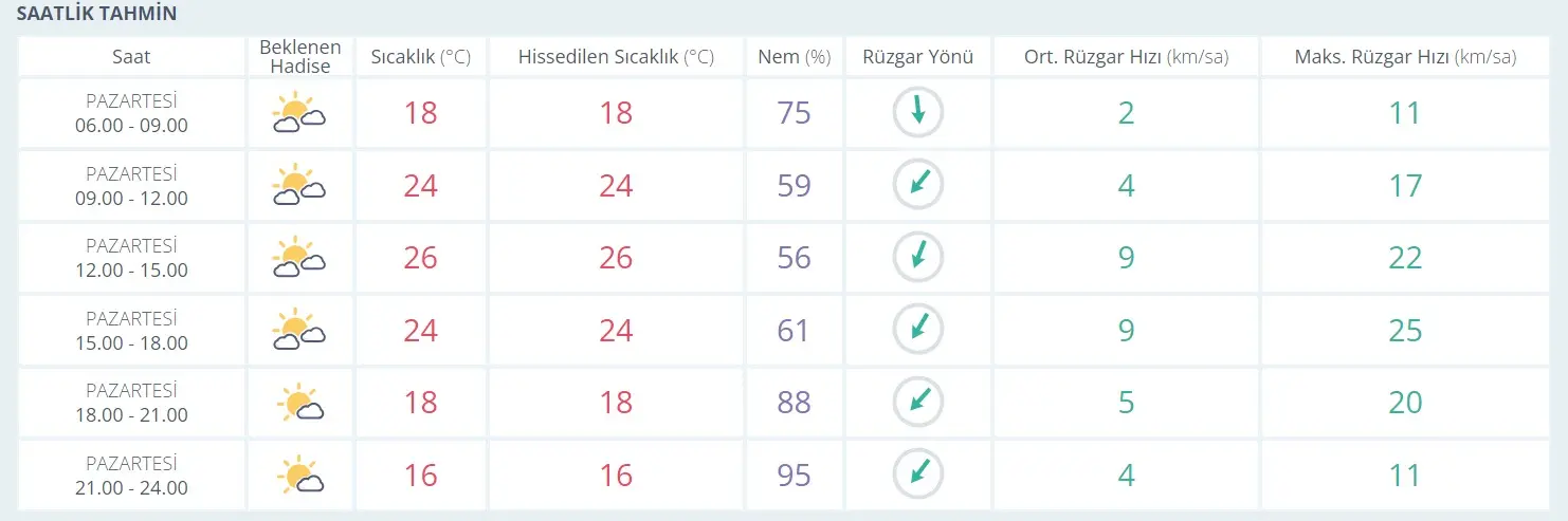 Kocaeli'ye de giriş yapıyor! 4 ay gitmeyecek, herkes hazır olmalı - Resim : 2