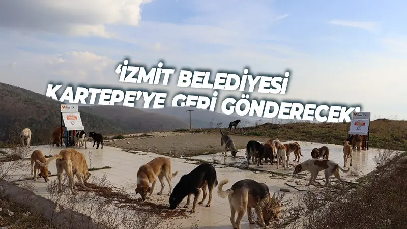 Kartepe Belediyesinin kendi sınırları