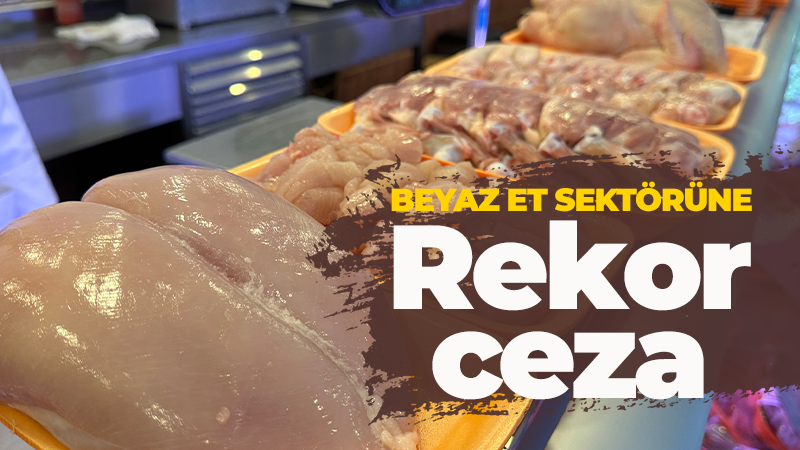 Rekabet Kurumu acımadı! Beyaz et sektörüne büyük ceza