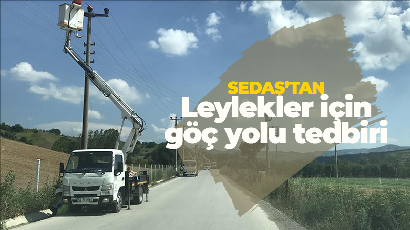 SEDAŞ’tan göç yolu seferberliği! Leylekler için