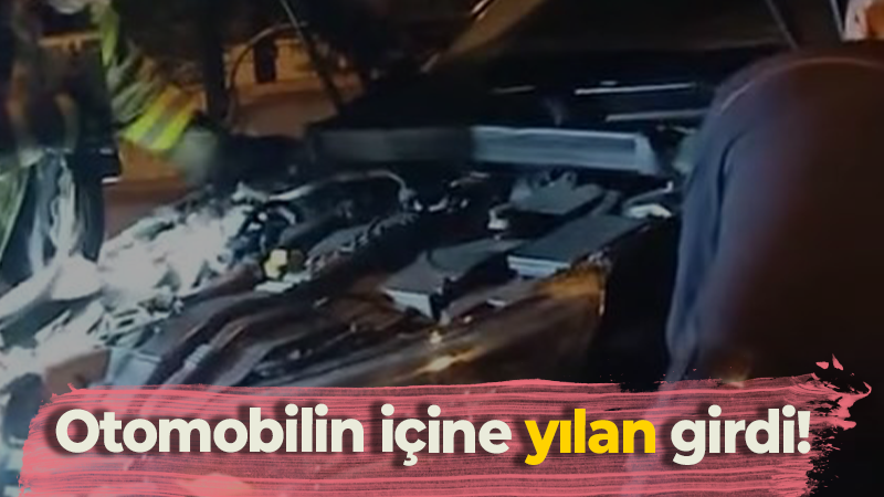 Otomobilinin içine yılan girdiğini