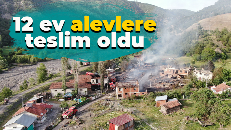 12 ev alevlere teslim oldu