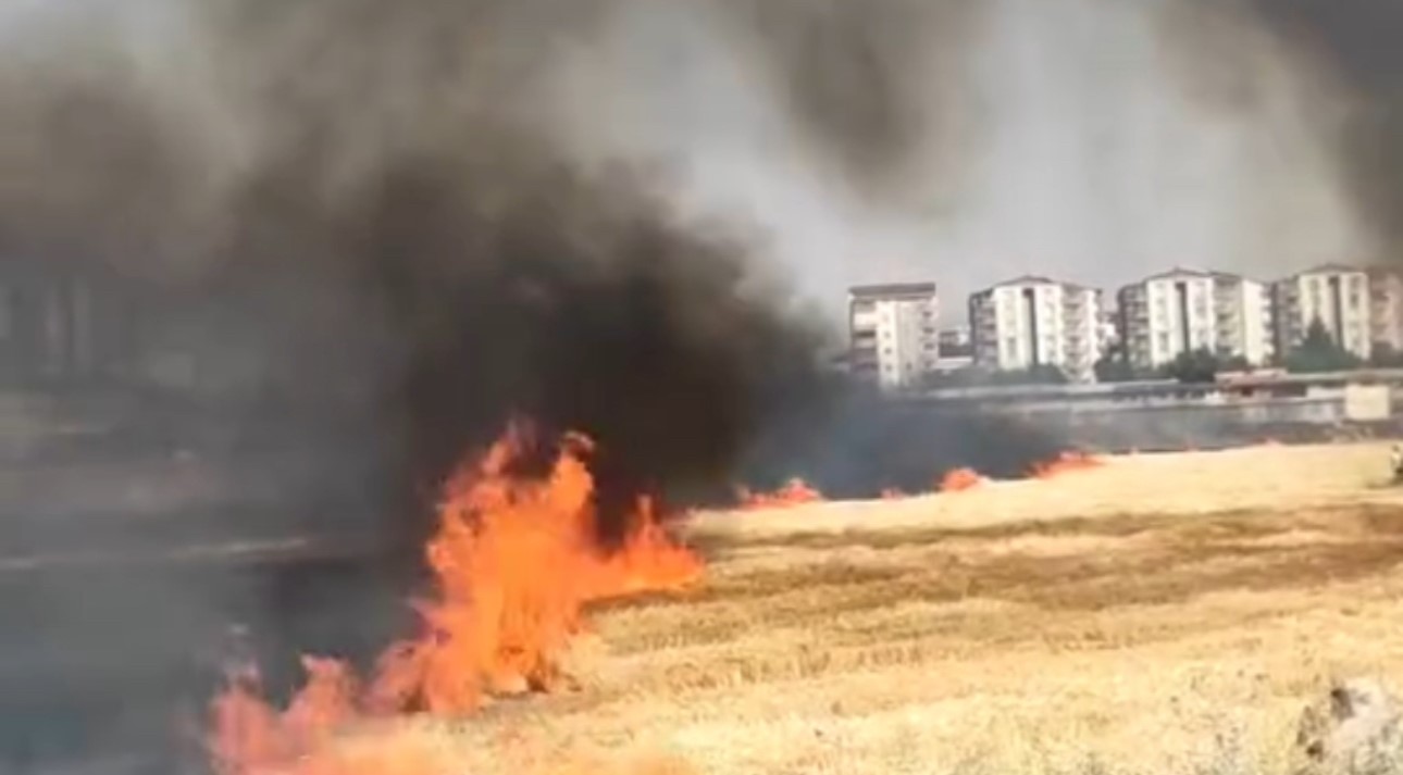 200 ton saman kül oldu - Resim : 1