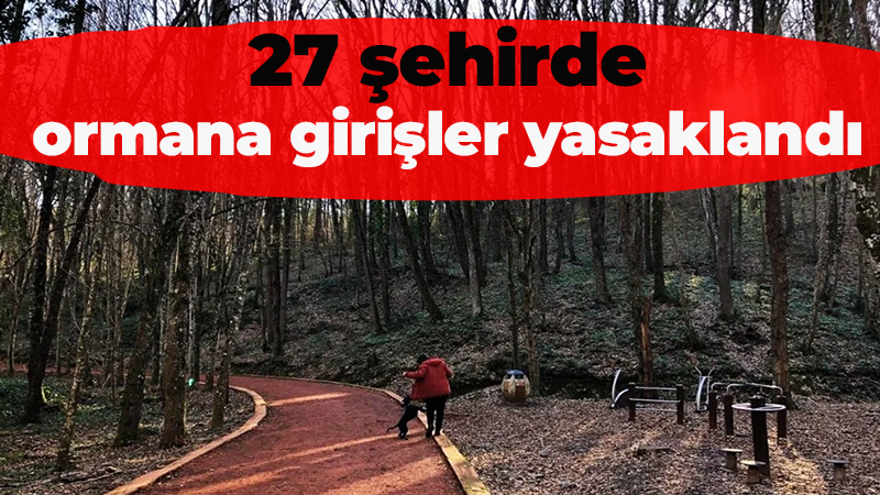 27 şehirde ormana girişler yasaklandı