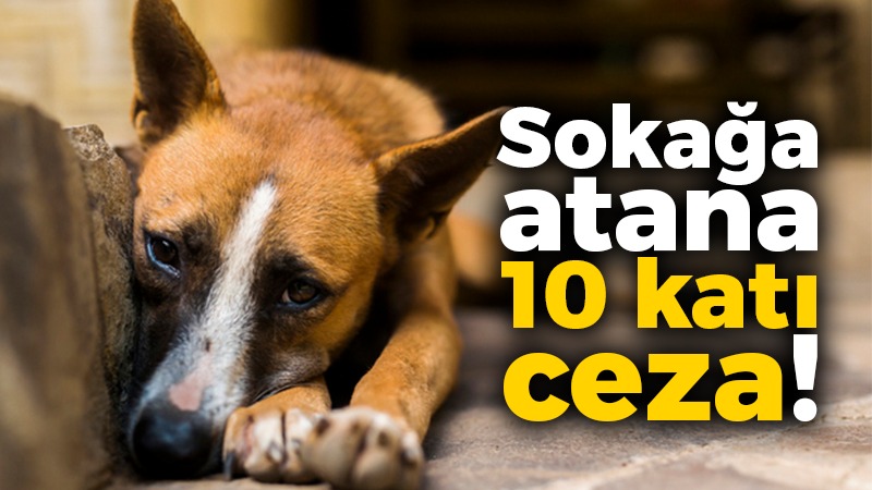 Sokağa atana 10 katı ceza