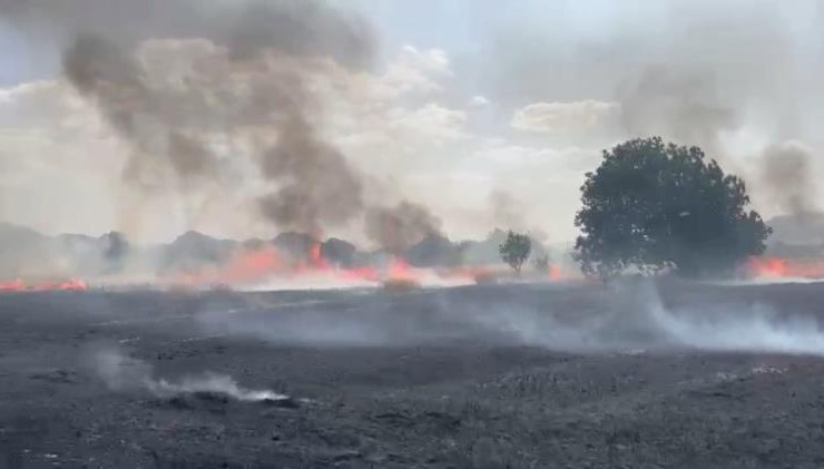 Aynı günde çıkan 6 farklı yangın! - Resim : 1