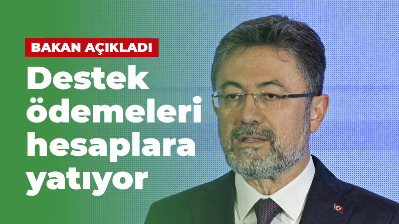 Bakan açıkladı: Destek ödemeleri hesaplara yatıyor