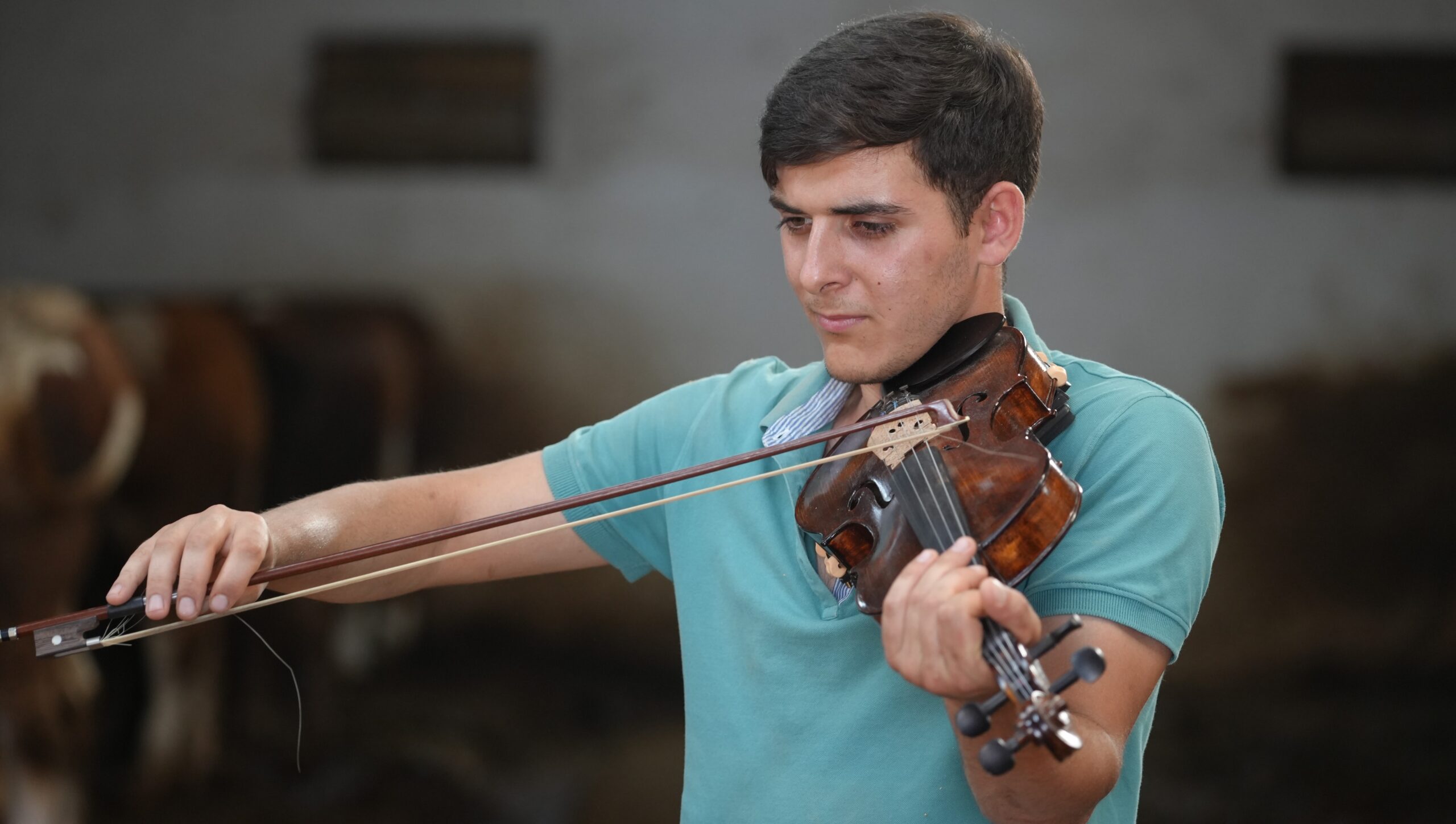 Besici Keleş, hayvanlarına keman çalıyor - Resim : 2