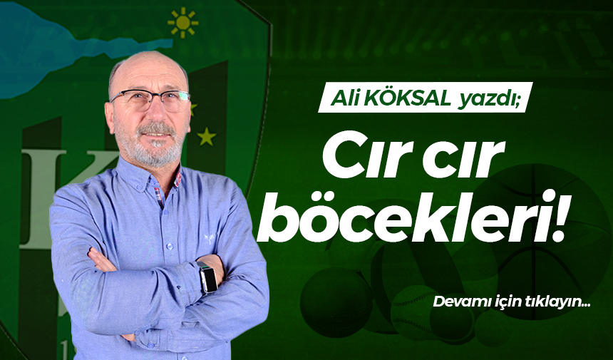 Cır cır böcekleri!