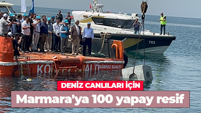 Deniz canlıları için Marmara’ya 100 yapay resif