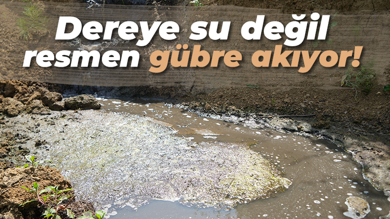 Dereye su değil gübre akıyor