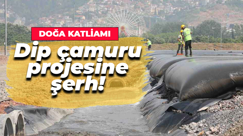 Dip çamuru projesine şerh! Doğa katliamı