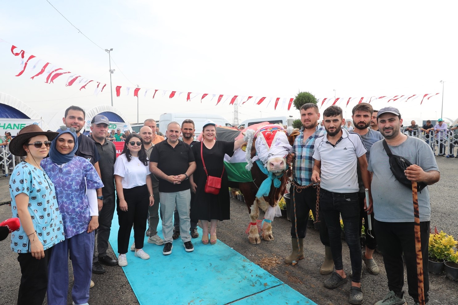 En Güzel Kurbanlık yarışması renkli görüntülere sahne oldu - Resim : 3