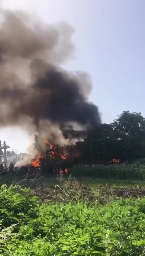 Evde başlayan yangın ağaçlık alana sıçradı! - Resim : 2