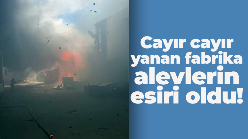 Gebze’de cayır cayır yanan fabrika alevlere teslim oldu