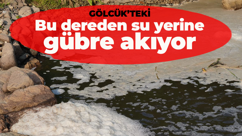 Gölcük’te bulunan bu dereden su yerine gübre akıyor