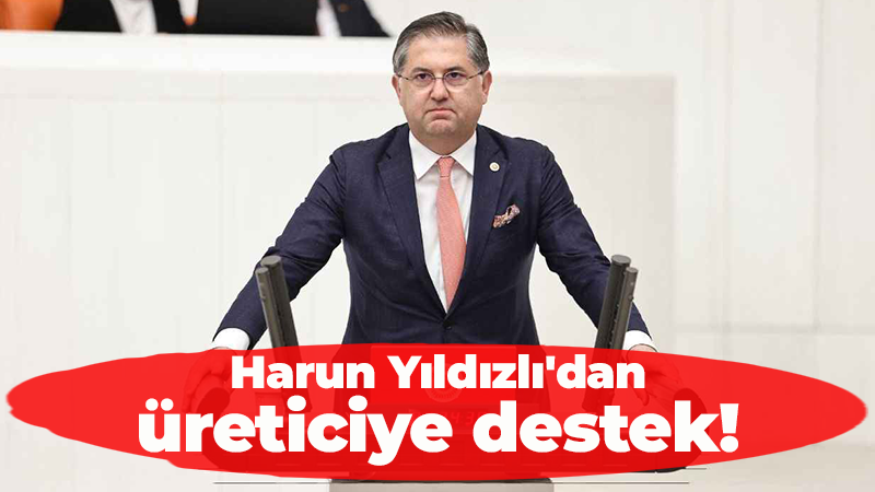 CHP Kocaeli Milletvekili Harun