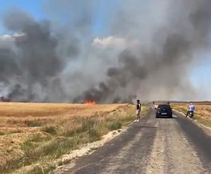 Hasat edilmeyi bekliyordu: 38 ton küle döndü - Resim : 4