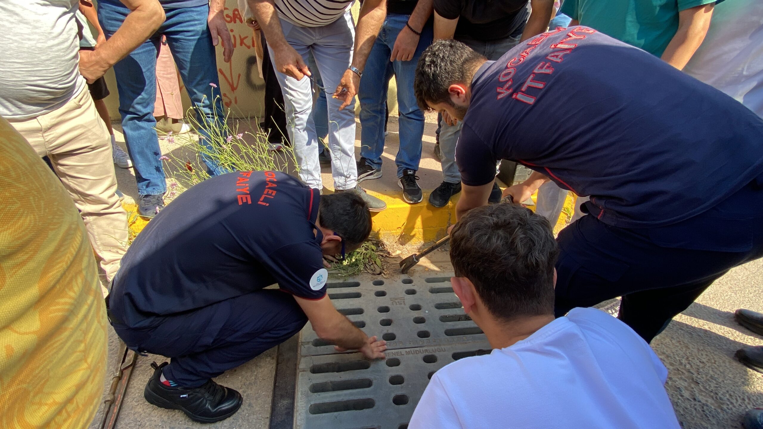 Kimliğini mazgala düşürdü: Gözyaşlarını tutamadı - Resim : 2