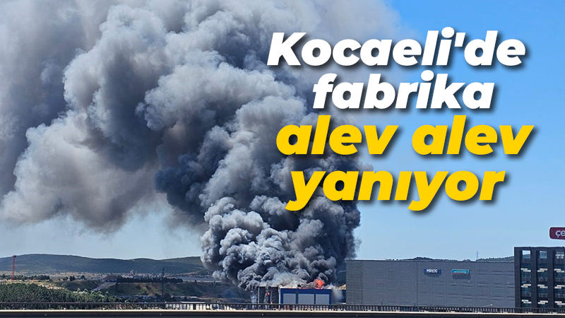 Kocaeli'nin Çayırova ilçesinde bulunan