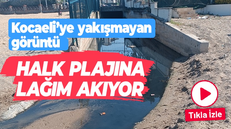 Kocaeli’ye yakışmayan görüntü! Halk plajına lağım akıyor