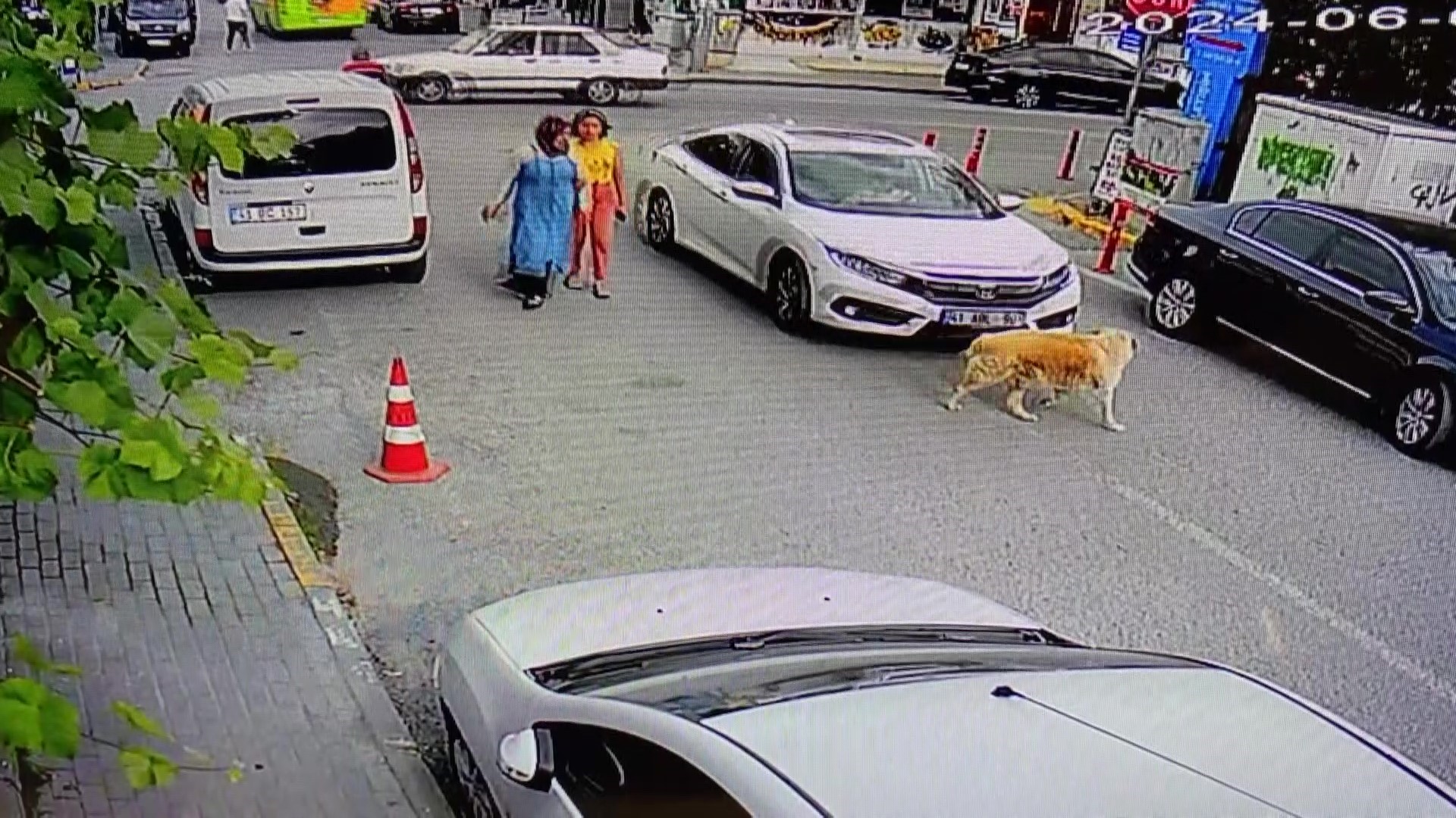 Köpeğe hızlanarak çarptı vatandaşı da ezecekti! - Resim : 3