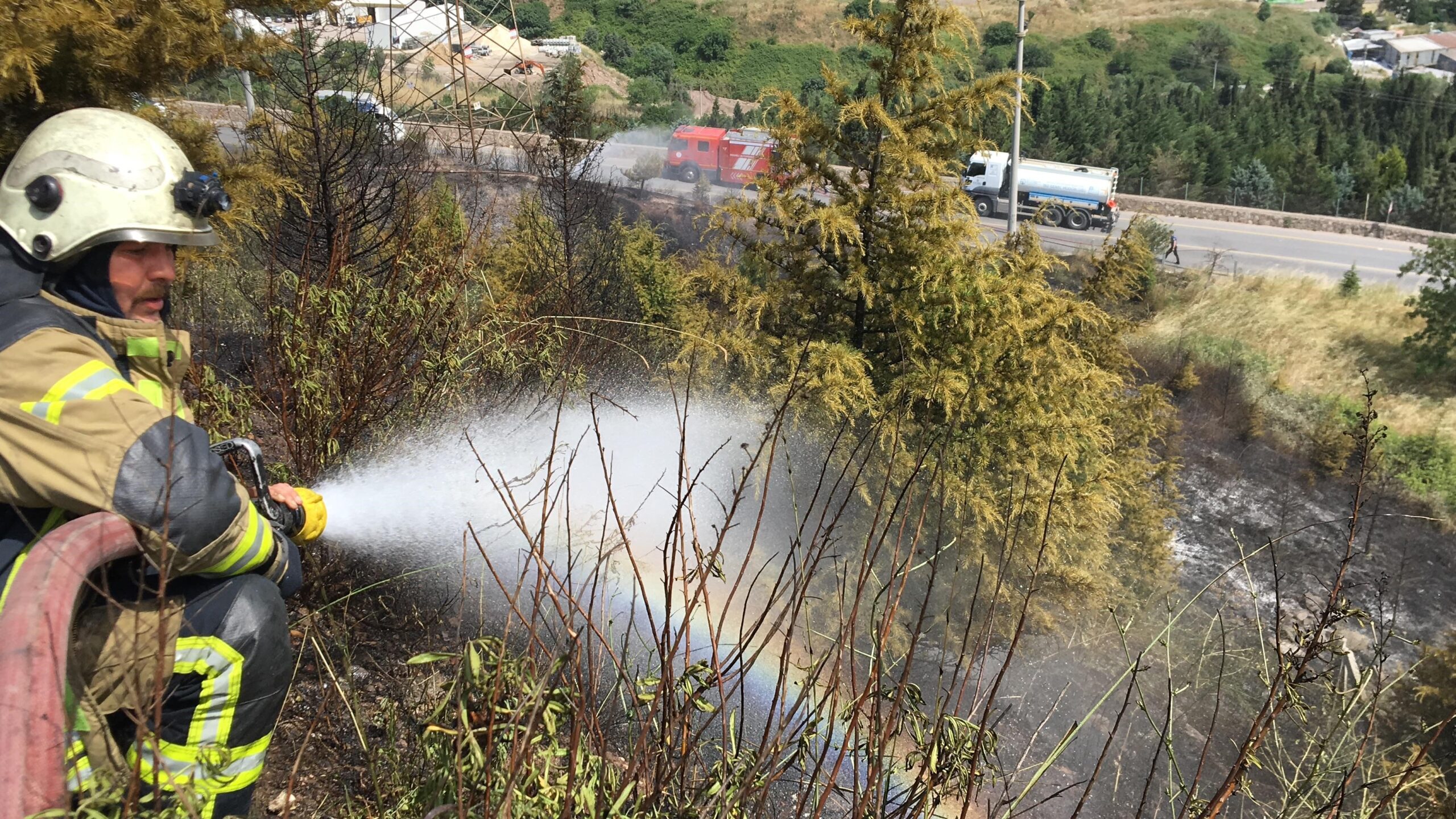 Körfez'de korkutan orman yangını: Ağaçlar küle döndü! - Resim : 2