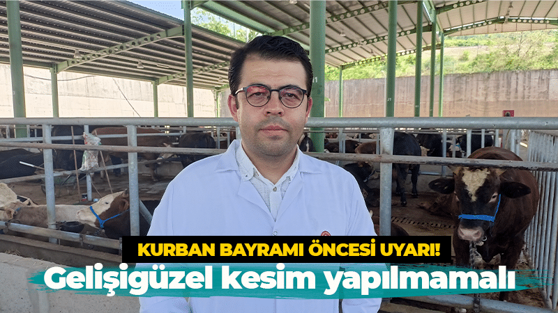 Kurban Bayramı öncesi önemli uyarı! Gelişigüzel kesim yapılmamalı