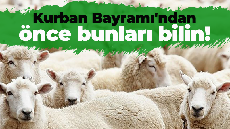 Kurban Bayramı’na sayılı günler