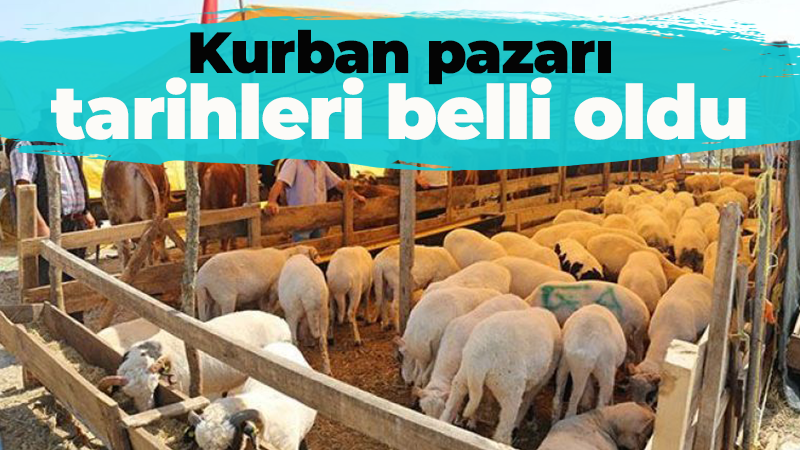 Kocaeli’de kurban pazarının kurulacağı günler belirlendi