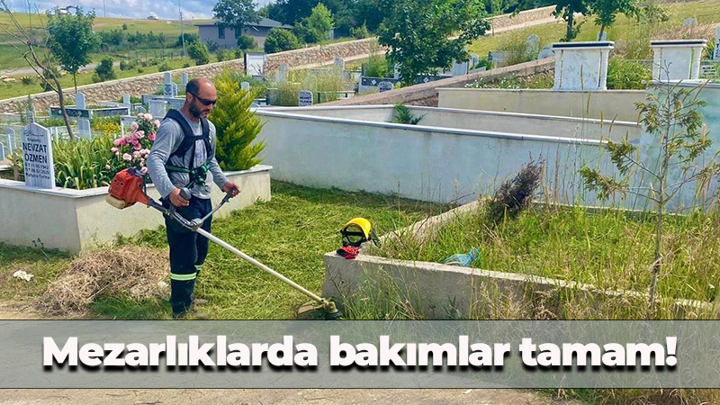 Körfez Belediyesi yaklaşan Kurban